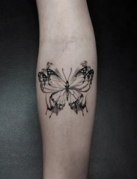 Butterfly Effect